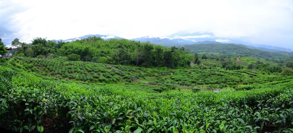 Villa Sabah Tea Garden Ranau Exterior foto