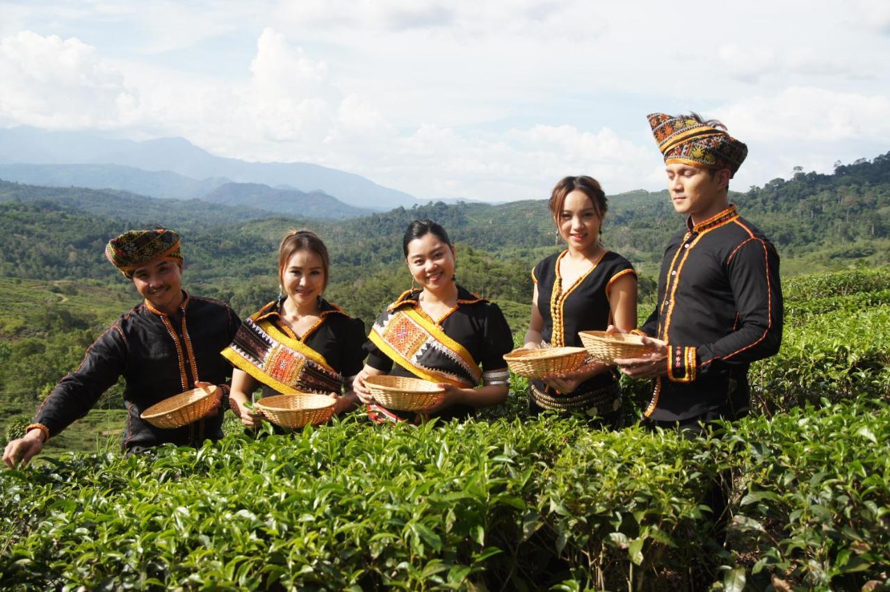 Villa Sabah Tea Garden Ranau Exterior foto